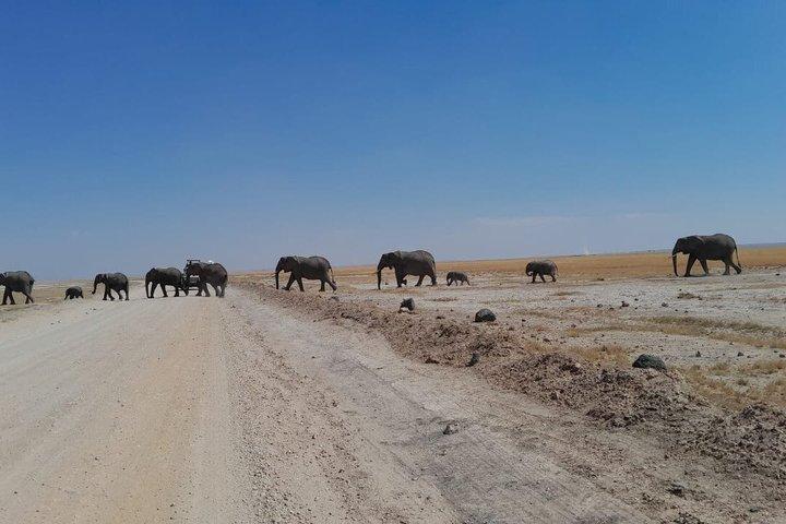 Amboseli Dagstur från Nairobi