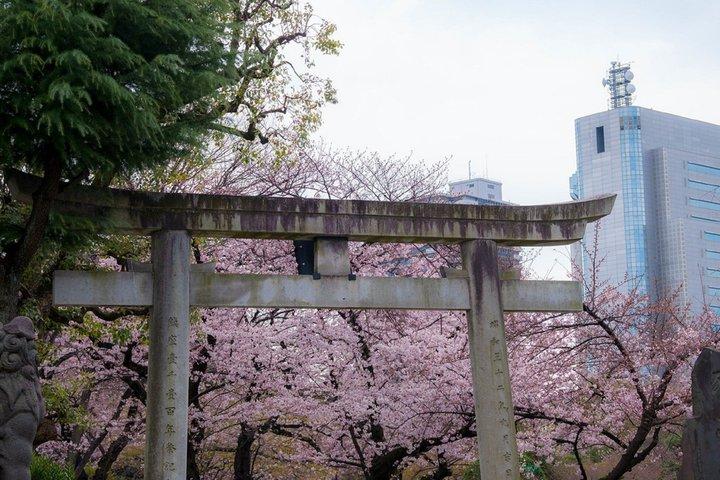 東京浅草・浅草寺・スカイツリー散策ツアー