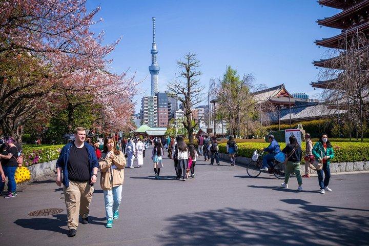 東京浅草・浅草寺・スカイツリー散策ツアー