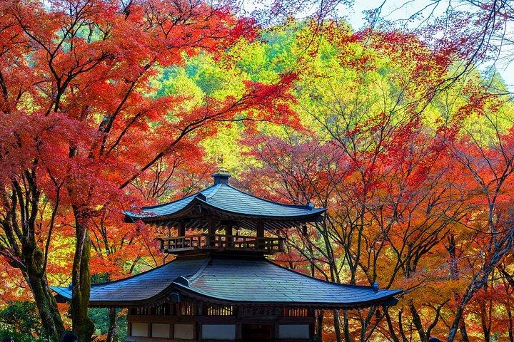 京都嵐山 霊廟と秘境を巡る