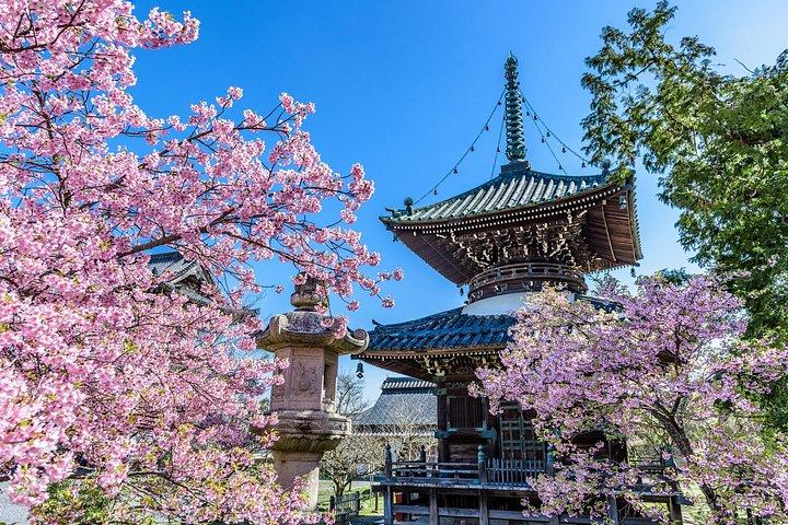 京都嵐山 霊廟と秘境を巡る