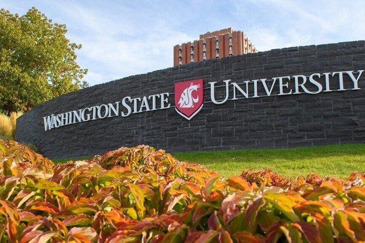 Privé SUV-tour van Seattle naar de Washington State University