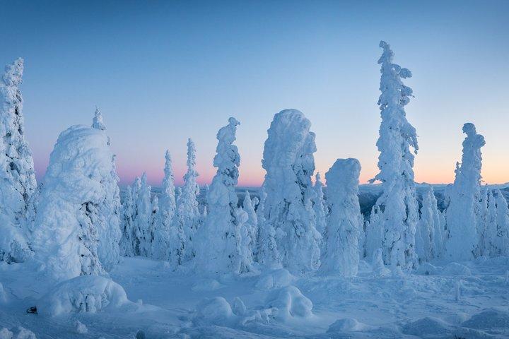 Circolo Polare Artico e aurore boreali - Dalton Highway Winter Tour