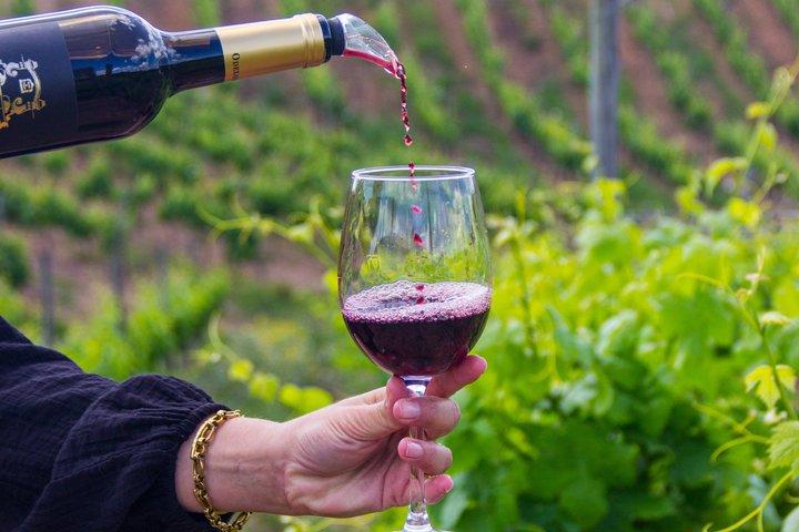 Visite privée des vins d'Algarve : 2 vignobles, dégustations et tapas