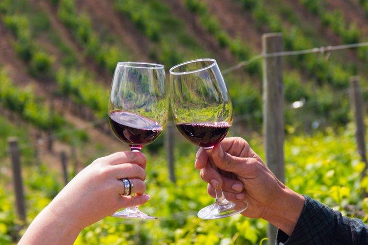 Tour privato del vino dell'Algarve: 2 cantine, degustazioni e tapas