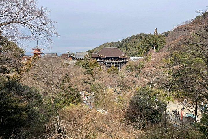 豪華バンによる京都・大阪・奈良のプライベートツアー。