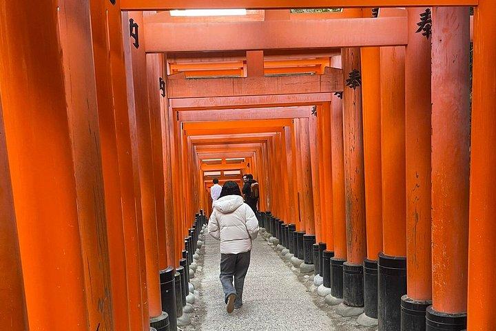 豪華バンによる京都・大阪・奈良のプライベートツアー。