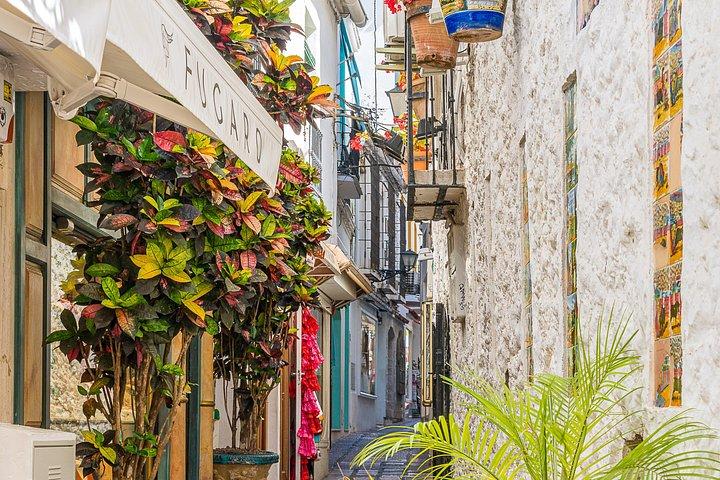 Private Half Day Marbella Tour from Malaga