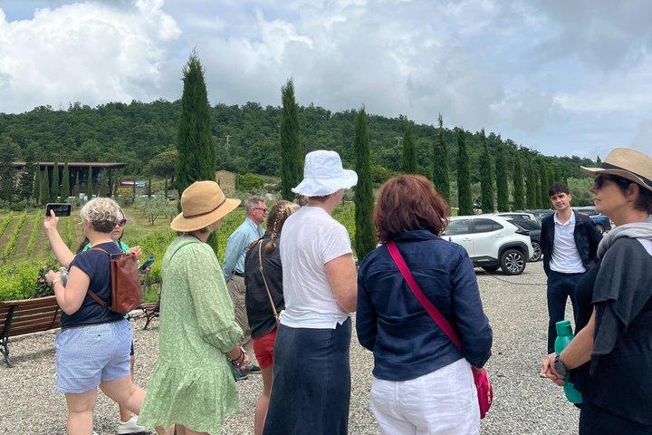 3 kelders in Chianti met bezoeken, wijnproeverijen, lunch & transfer