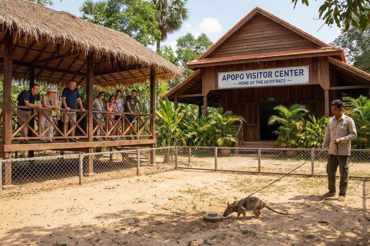 Seværdigheder i Siem Reap og Angkor: