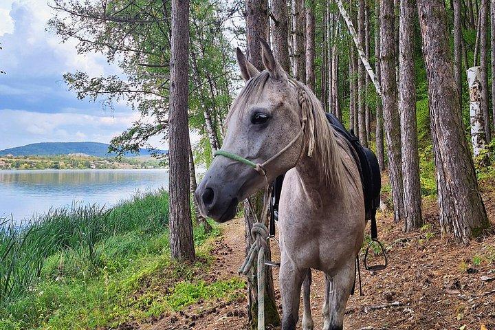 ソフィア乗馬とプチェリナ湖畔での1泊キャンプ
