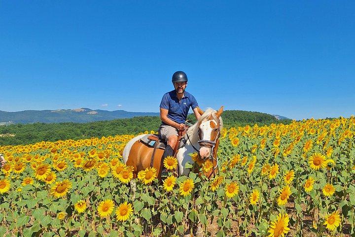 ソフィア乗馬とプチェリナ湖畔での1泊キャンプ