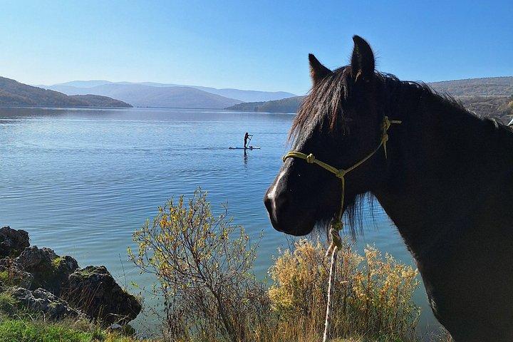 ソフィア乗馬とプチェリナ湖畔での1泊キャンプ