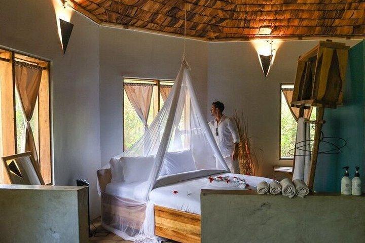 3 - Días Safari Privado de Lujo : Tarangire, Ngorongoro & Manyara