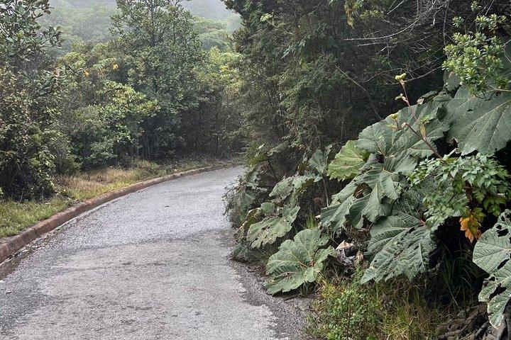 DOKA Koffietour Poás Vulkaan en La Paz Waterval Tuinen Combo