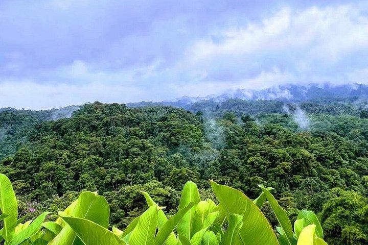 ドカコーヒーツアーポアス火山とラパス滝庭園コンボ