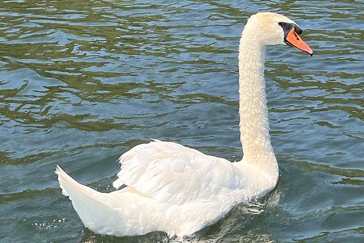 スカダル湖アドベンチャーボートツアー（軽食付き）