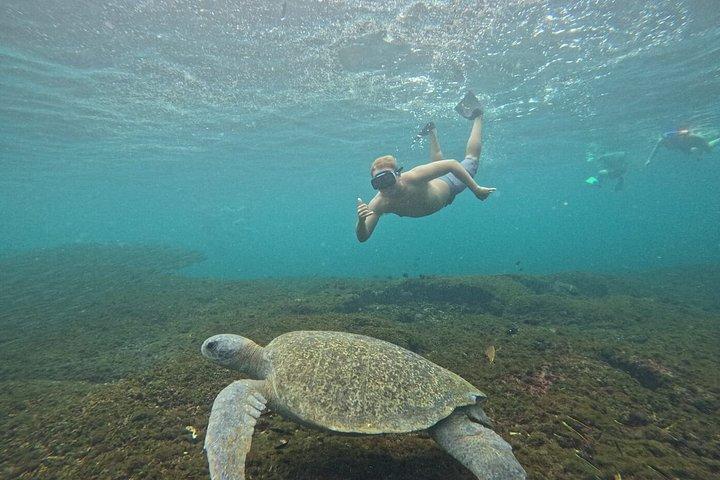 ワトゥルコの地元の7つの湾のプライベートツアー＋無料スポーツフィッシング
