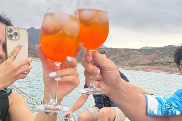 Cruise Lake Potrerillos a unique experience