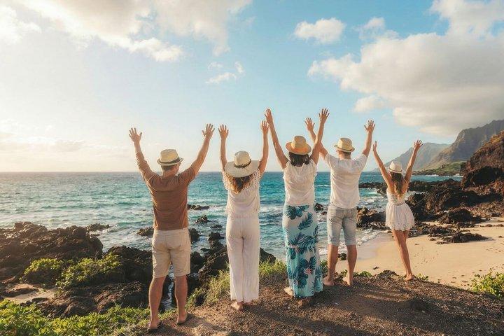 Oahu Island Private Tour - Mercedes Sprinter or premium Minivan