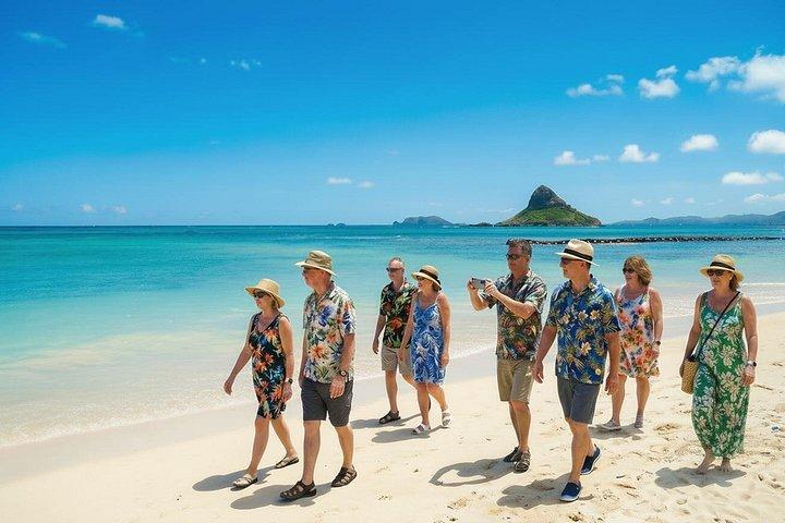オアフ島プライベートツアー-メルセデススプリンターまたはプレミアムミニバン