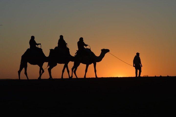 アガファイ砂漠のラクダの夕日を眺めるファイヤーショー付き高級ダイナー