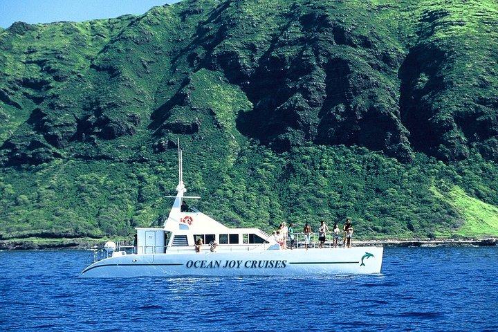 プライベートで贅沢なサンセットクルーズ（グルメハワイアンミール付き）