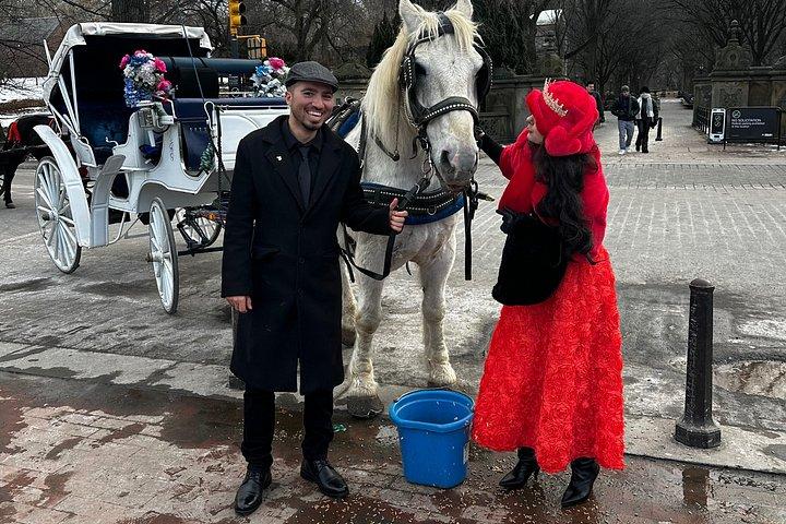 Billeder af Central Park Carriage Ride