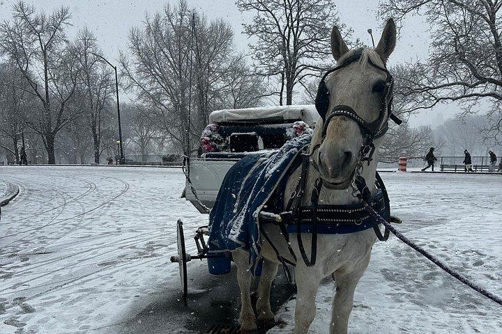 Billeder af Central Park Carriage Ride