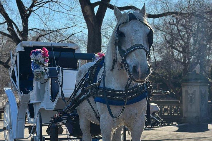 Billeder af Central Park Carriage Ride