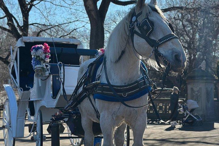 Billeder af Central Park Carriage Ride