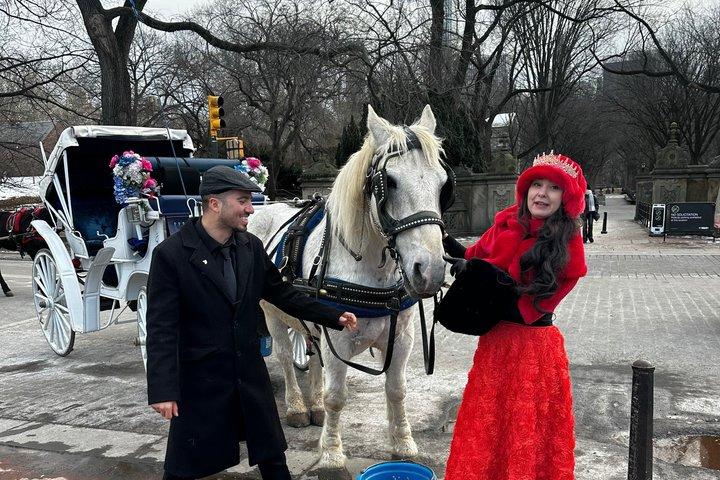 1903年以来セントラルパークを通る馬車ツアー（NYC）