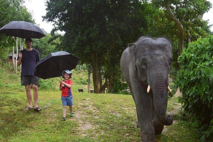 Phuket Ethical Elephant Care Sanctuary Nai Dee Halvdag eller 2 timer