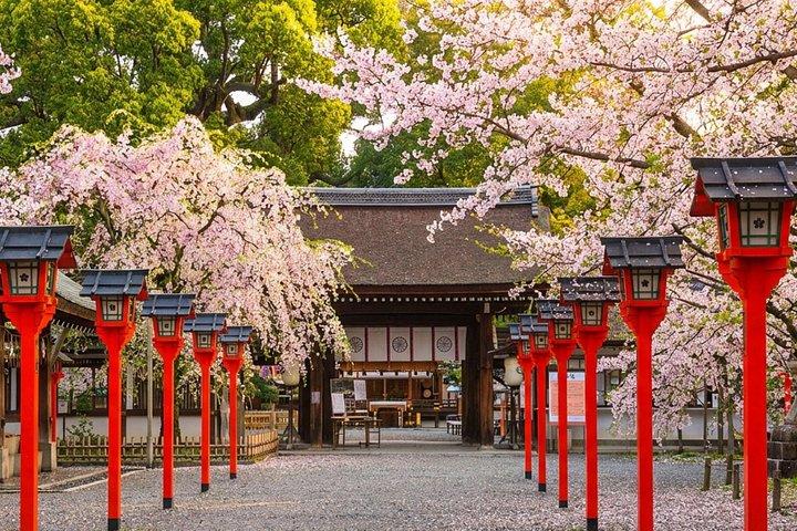 T2 京都 : 金閣寺歴史と信仰と霊の散策ツアー