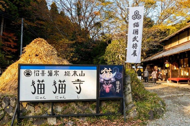 Hoteller i nærheden af T4 Kyoto: Sacred Shrines & Temples Bus Tour