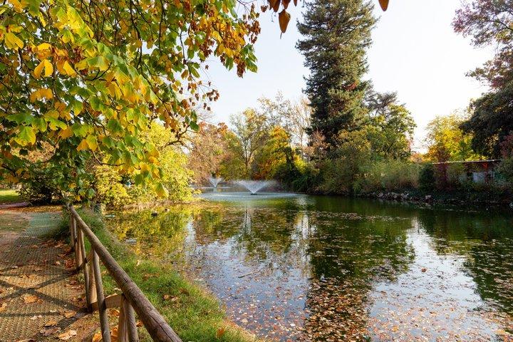 Visite guidée de la ville privée de Bologne