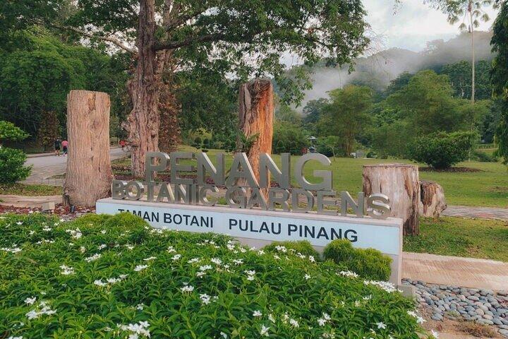 Descubra Penang Heritage Gems Hill Vista e Natureza Tour de dia inteiro