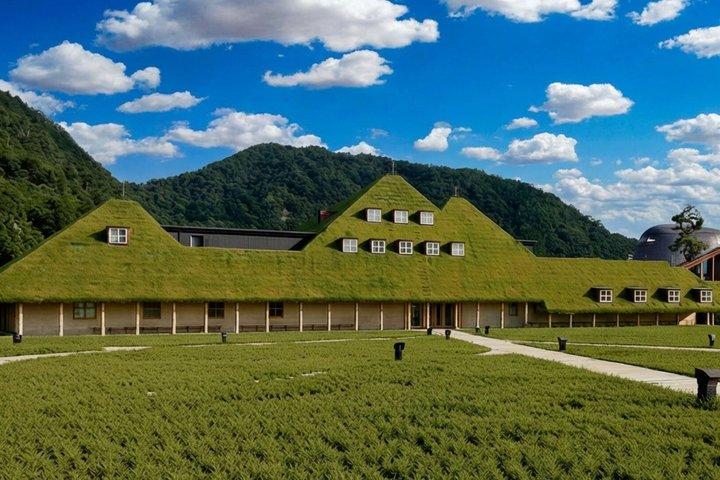 T8京都 : 季節の桜＆近江八幡運河クルーズ