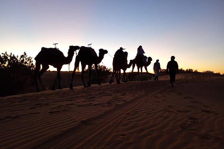 4-dages eventyr fra Marrakech til Fez/Marrakech via ørkenen