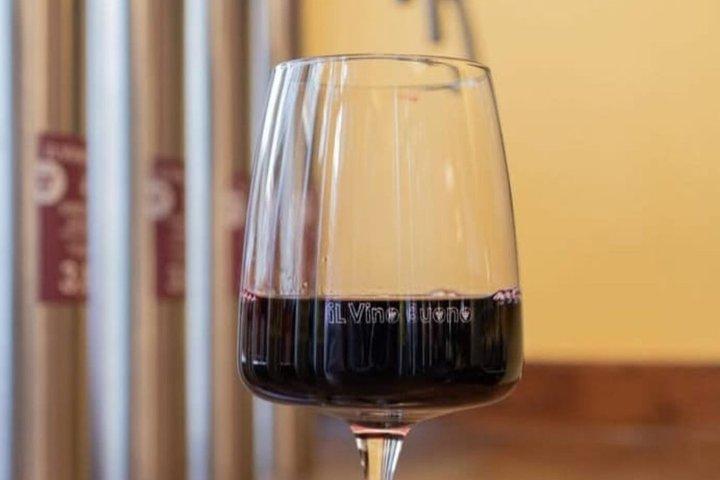 Degustazione guidata di vini con abbinamenti gastronomici locali a Livorno