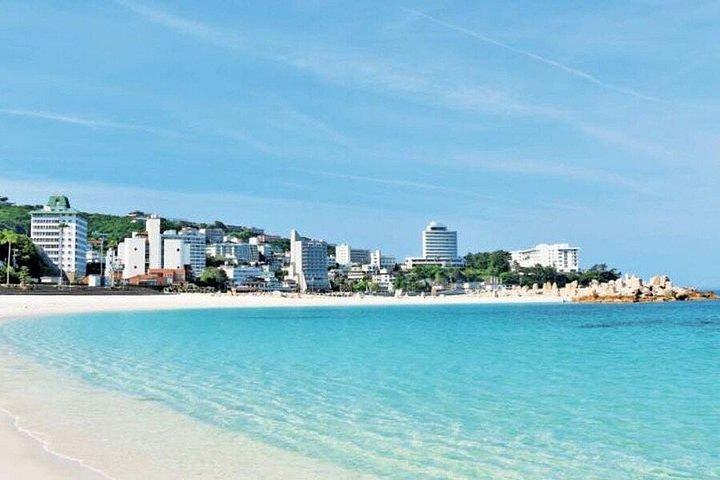 大阪から和歌山・白浜・串本エリアへのプライベート送迎