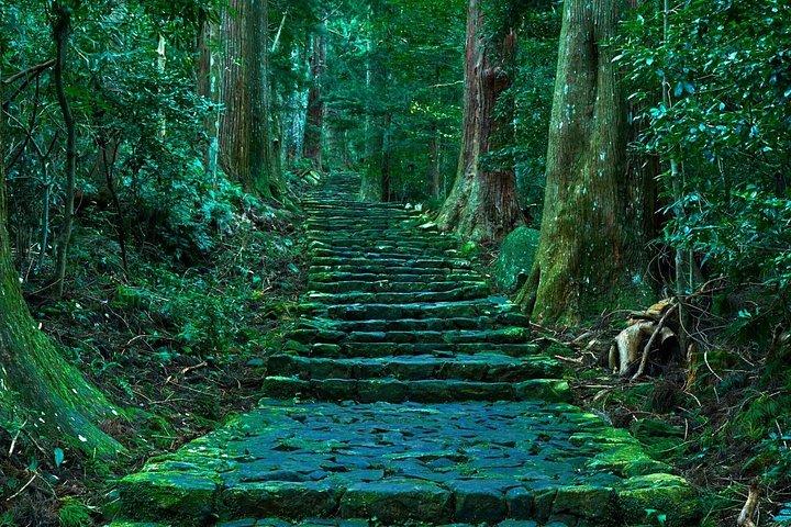 大阪から和歌山・白浜・串本エリアへのプライベート送迎