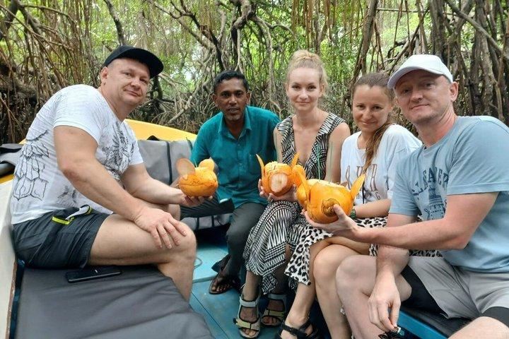 Safari sul fiume Bentota con mangrovie, coccodrilli, uccelli, scimmie.