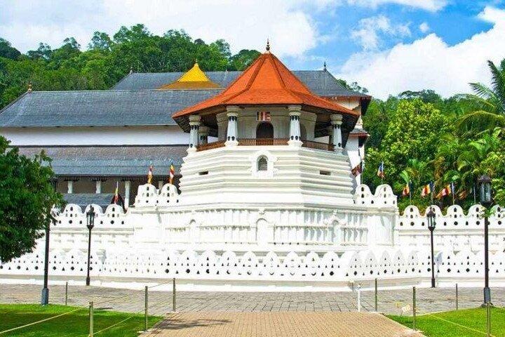 Colombo to Pinnawala & Kandy Luxury Day Tour em carro / van / ônibus