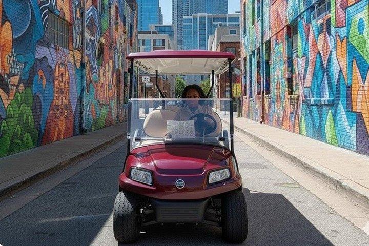 Tour guiado por Charlotte Queen City: visitas turísticas e historia
