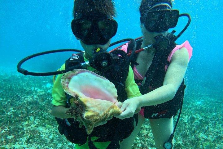 Cozumel Diving Adventure in Chankanaab
