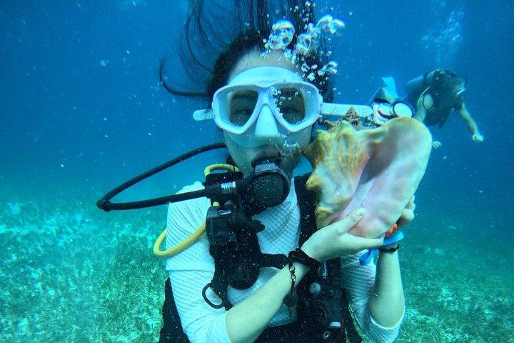 Tauchabenteuer in Chankanaab bei Cozumel
