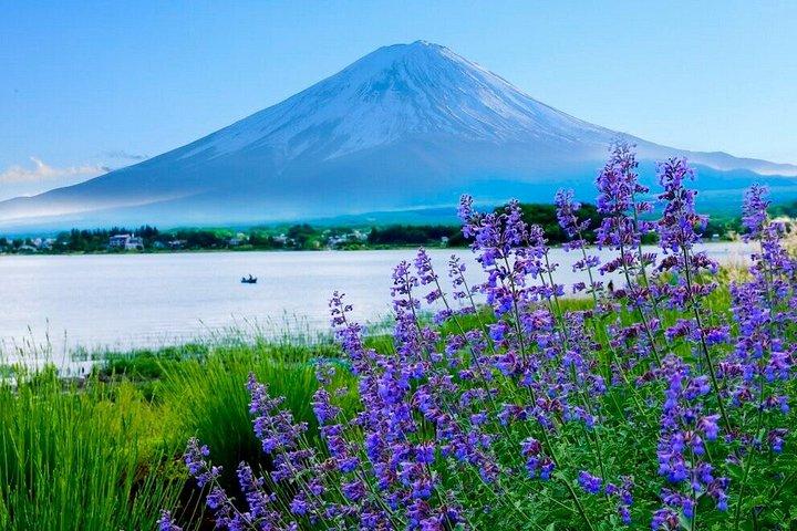 東京から富士山と箱根を巡る全日ツアー
