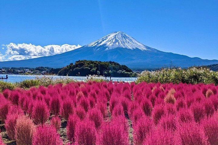 東京から富士山と箱根を巡る全日ツアー