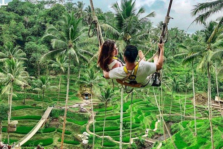 Ubud Private Tour: Monkey Forest, Rice Terrace, Temple & Waterfall